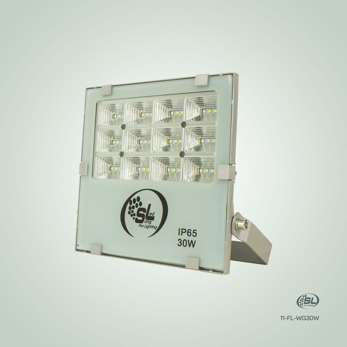 FLOOD PLANO 30W BFRIO SMD 12 SECCIONES *** HAE ***