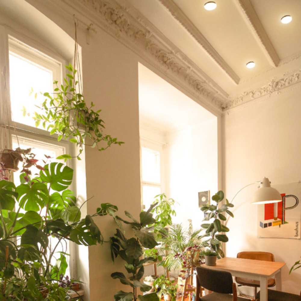 PLAFON LED SOBREP. TECHO 24W/127V. 3000K ALUM. NEGRO NENQUE II