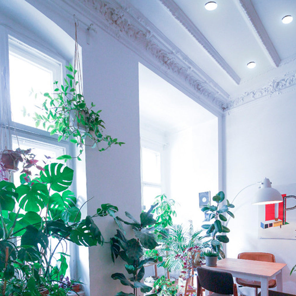 EXT PLAFONES LED 24W127V6500K GRIS NENQUE II