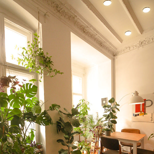 PLAFON LED SOBREP. TECHO 35W/127V. 3000K ALUM. NEGRO NENQUE III ***TECNOLITE HAE***