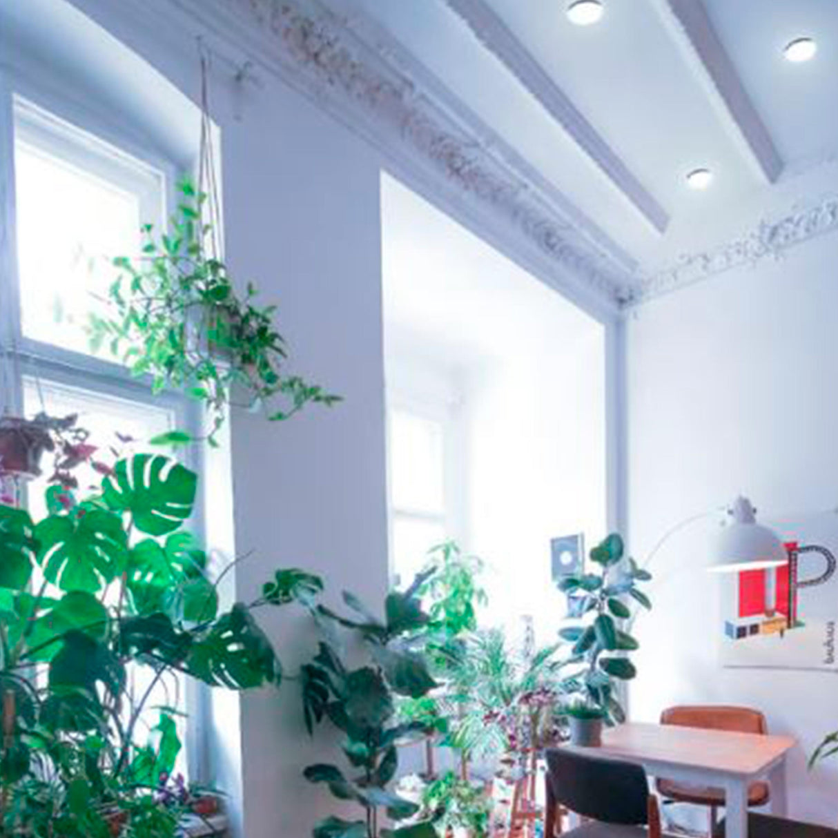 PLAFON LED SOBREP. TECHO 35W/127V. 3000K ALUM. NEGRO NENQUE III ***TECNOLITE HAE***