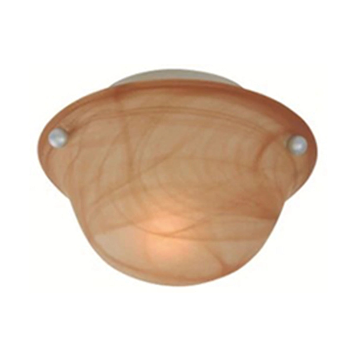 LAMPARA PLAFON DE 1 LUZ COLOR CAFE *** HAE ***