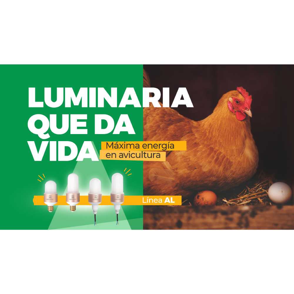 CUARZO 175W GOLD 127V