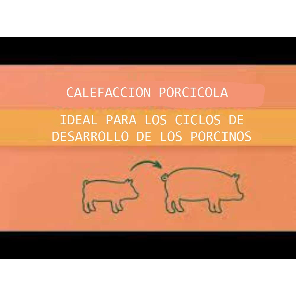 CUARZO 175W GOLD 127V