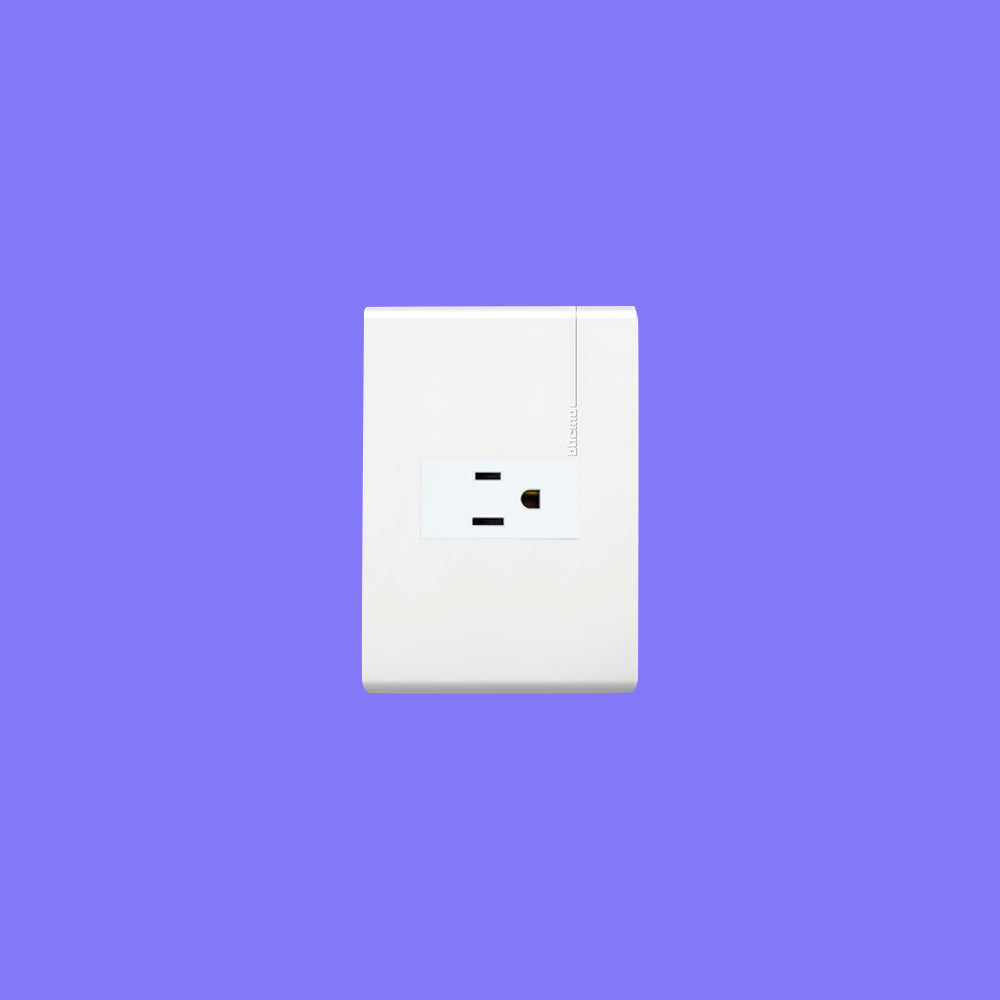 PLACA DE 1 MÓDULO CON CHASIS DE RESINA COLOR BLANCO