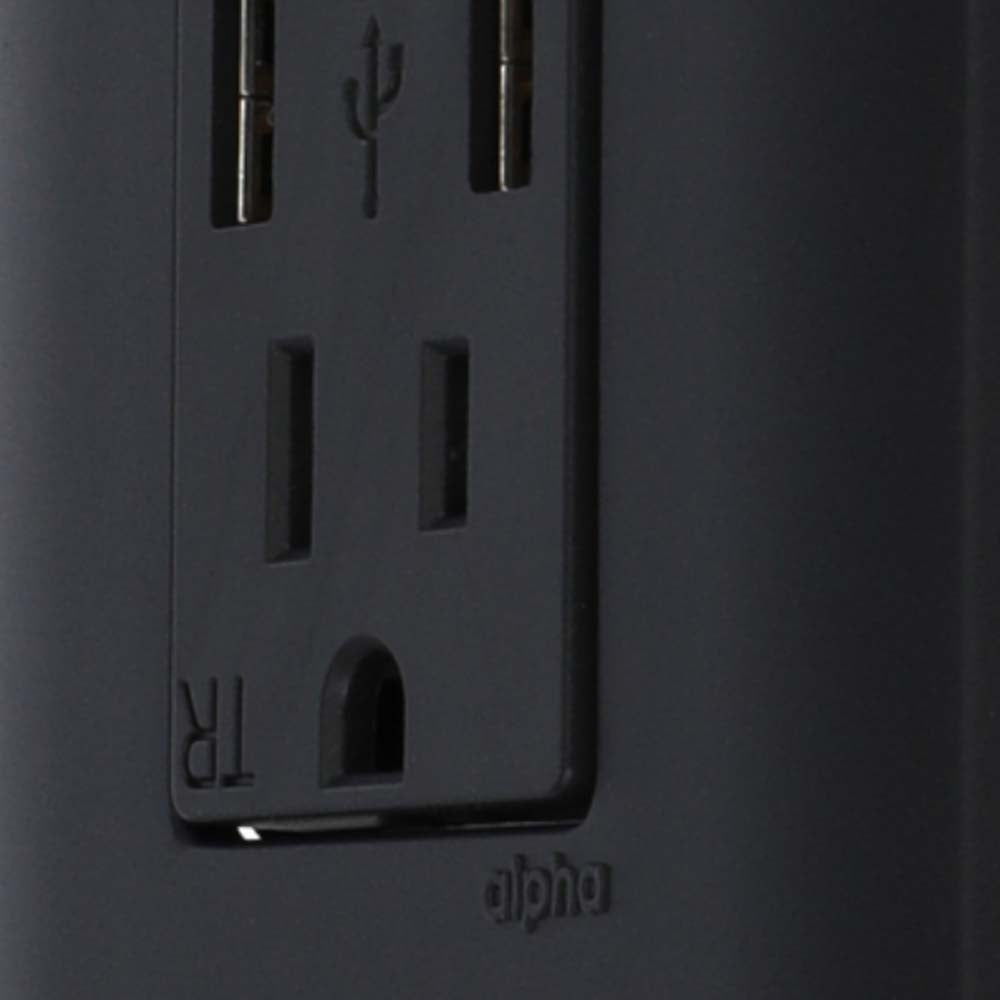 CONTACTO DÚPLEX ESTEVEZ ALPHA 2 POLOS CON TIERRA Y 2 PUERTOS USB NEGRO