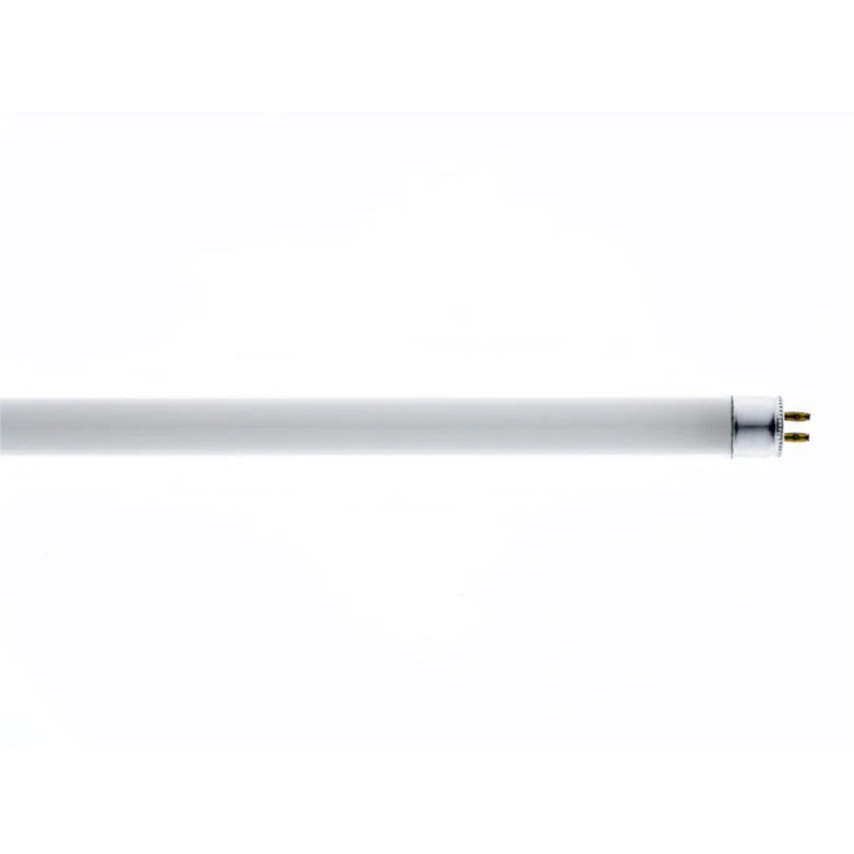 TUBO FLUORESCENTE LUZ NEGRA SIN FILTRO 8W T5