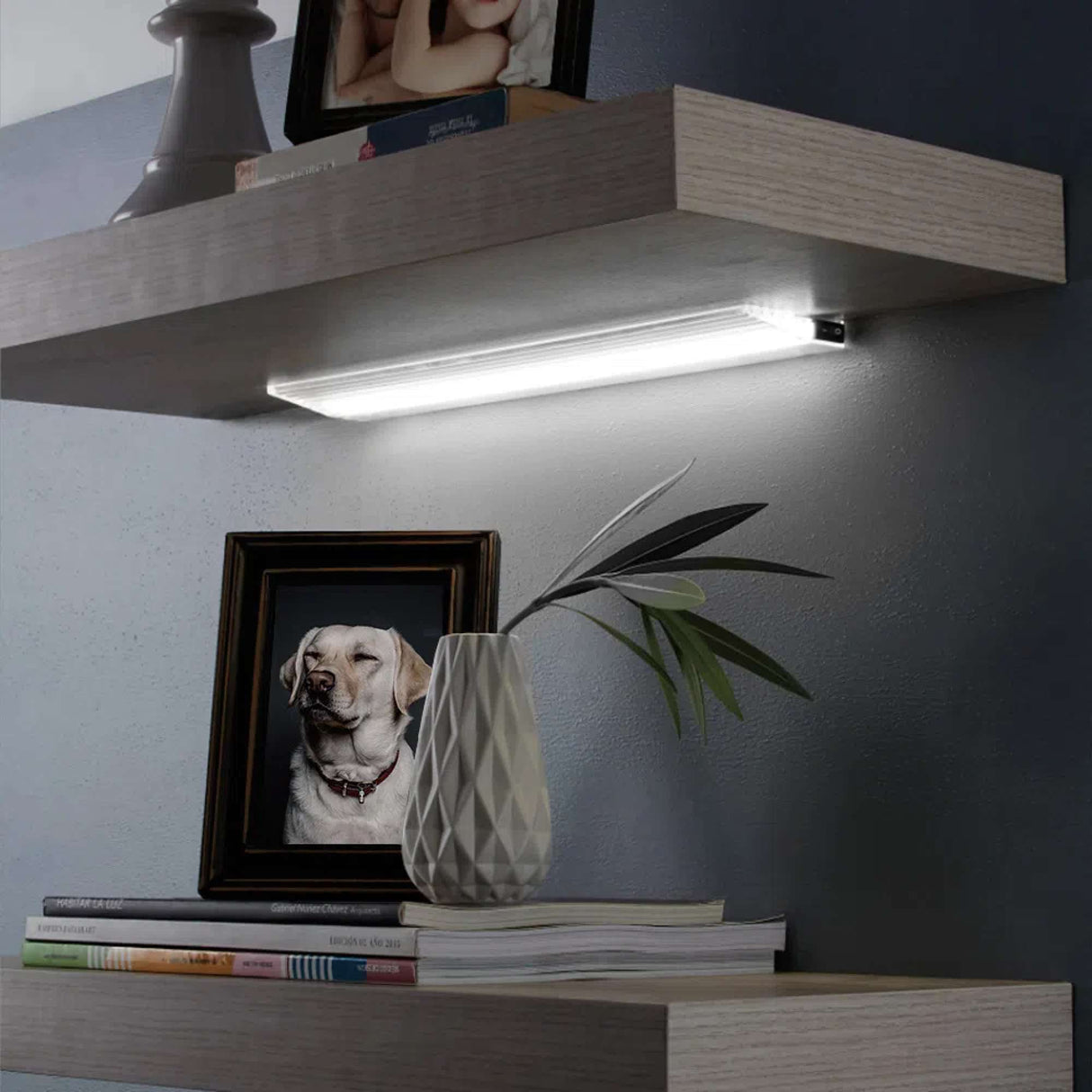 LAMPARA LINEAL LED TECNOLITE PARA SOBREPONER 10W LUZ BLANCA FRIA *** HAE ***