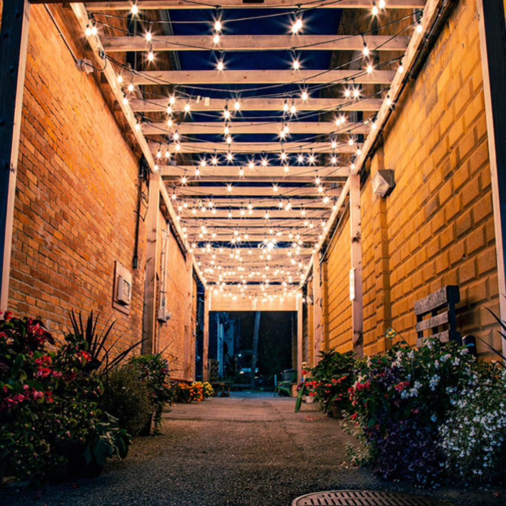 FOCO LED TECNOLITE ATENUABLE 4.5W LUZ SUAVE CÁLIDA BASE E27