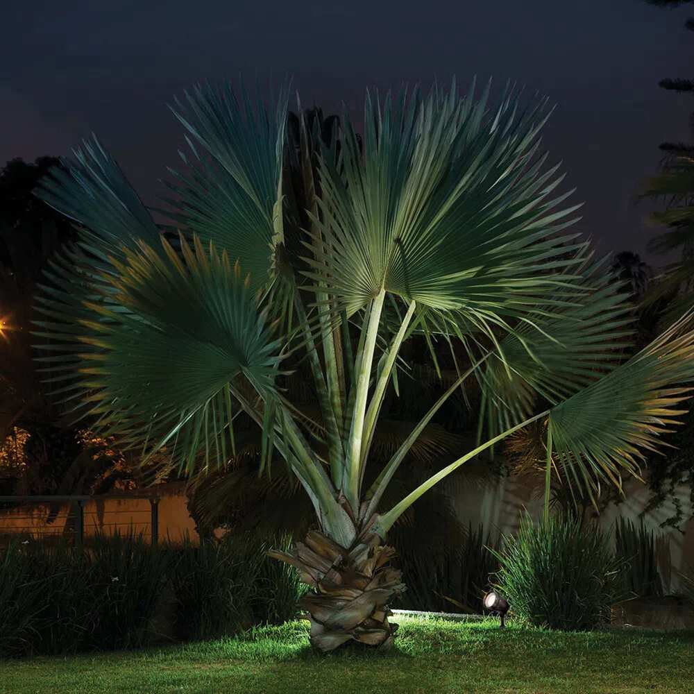 LÁMPARA DE EXTERIOR BACO TECNOLITE ESTACA BASE E27 IP44 NO INCLUYE FOCO