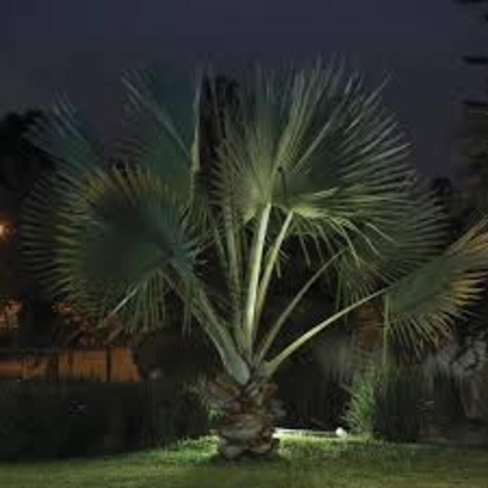 LÁMPARA DE EXTERIOR LED BURSERA TECNOLITE ESTACA 4.5W LUZ SUAVE CÁLIDA IP65 LED INTEGRADO ***HAE2025***