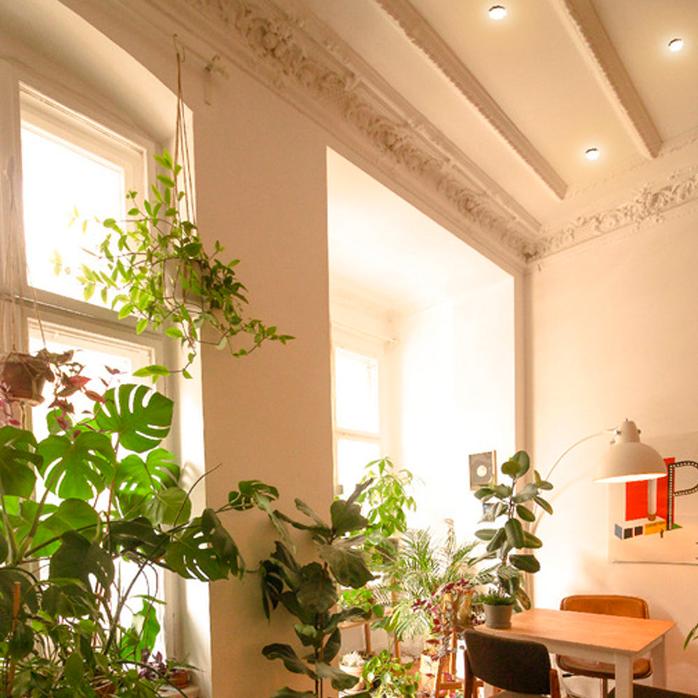 KIT DE 2 PIEZAS DE PLAFON LED SOBREP. TECHO 15W/127V. 3000K ALUM. NEGRO NENQUE I