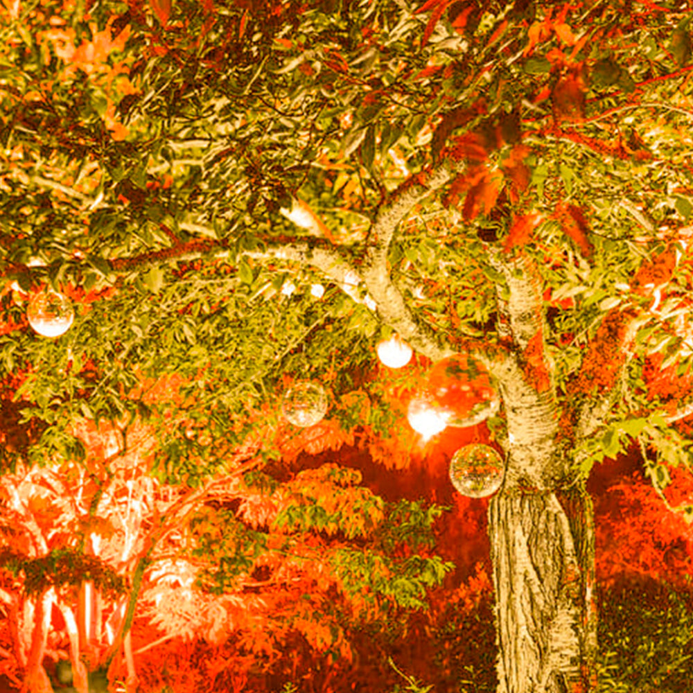 KIT DE 2 PIEZAS DE LAMPARA LED 16W100-277V1800KE27 TECNOLITE