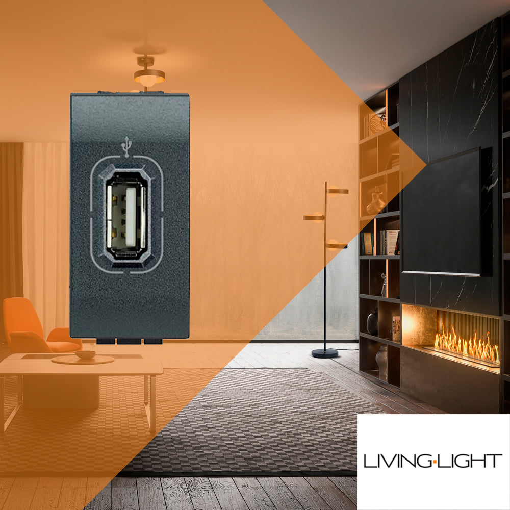 CONECTOR USB 1 MOD. L4285 LIVING Y LIGHT