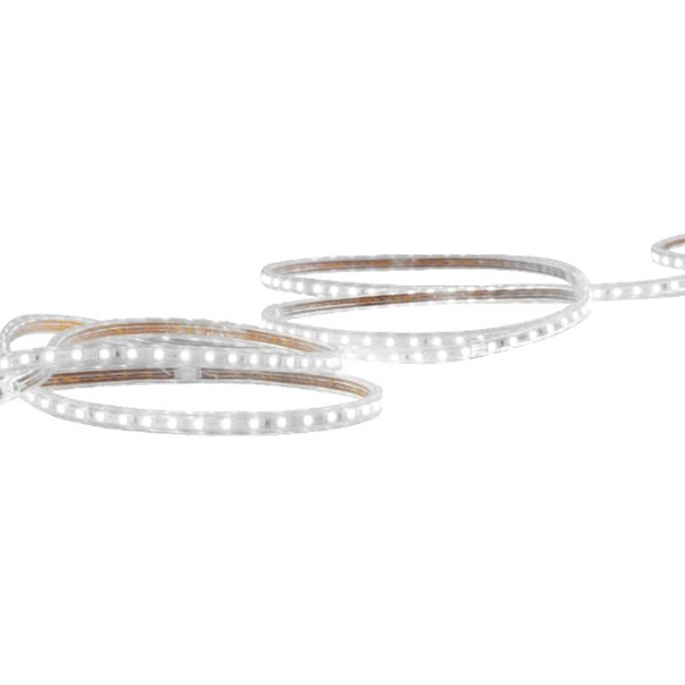 MANGUERA PLANA LED 5050 SMD 127V IP65 LUZ DE DIA 25 MTS