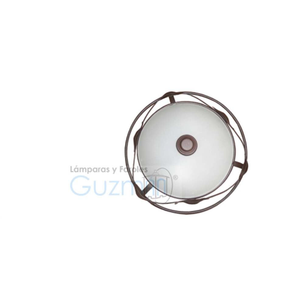 PLAFON HOJITAS 2 LUCES SIN FOCO MCA GUZMAN