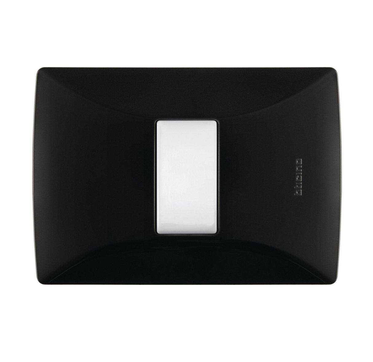 PLACA RESINA NEGRO OBSIDIANA 1 MOD. C/CHASIS *** EXHIBIDO ***