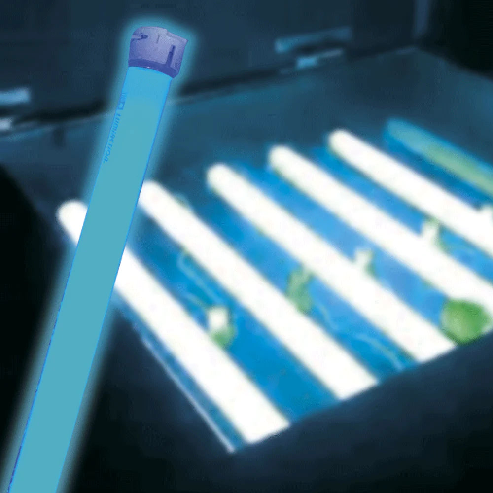 TUBO FLUORESCENTE LUZ NEGRA SIN FILTRO 15W T8