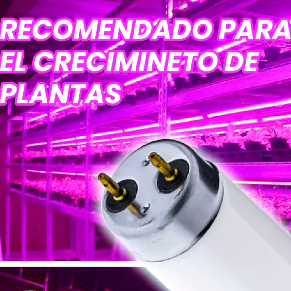TUBO FLUORESCENTE GROLUX 20W T8 ACUARIO