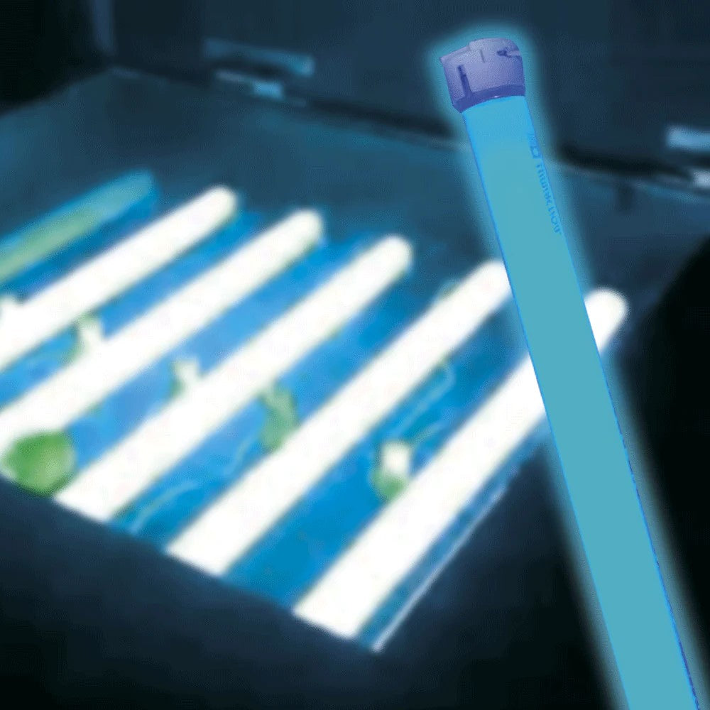 TUBO FLUORESCENTE LUZ NEGRA SIN FILTRO 6W T5