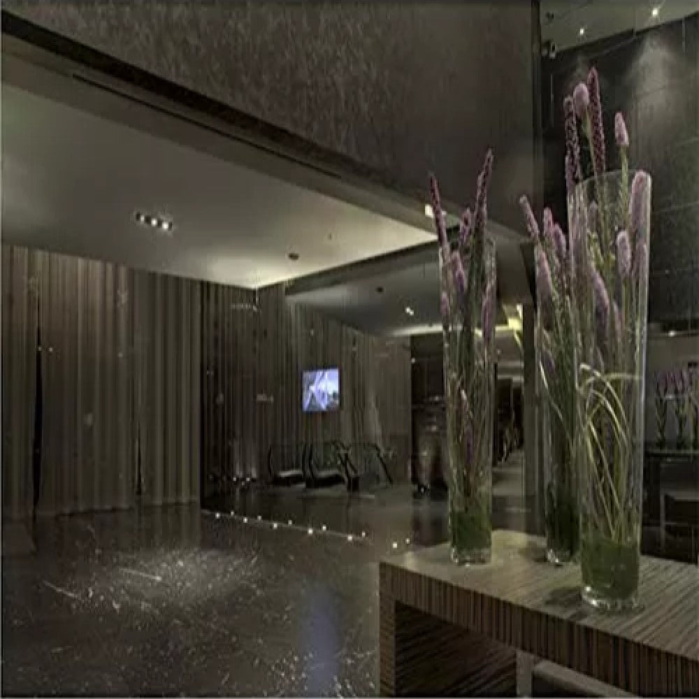 POINTS MP III 100-240V 25 30K NG LINEA