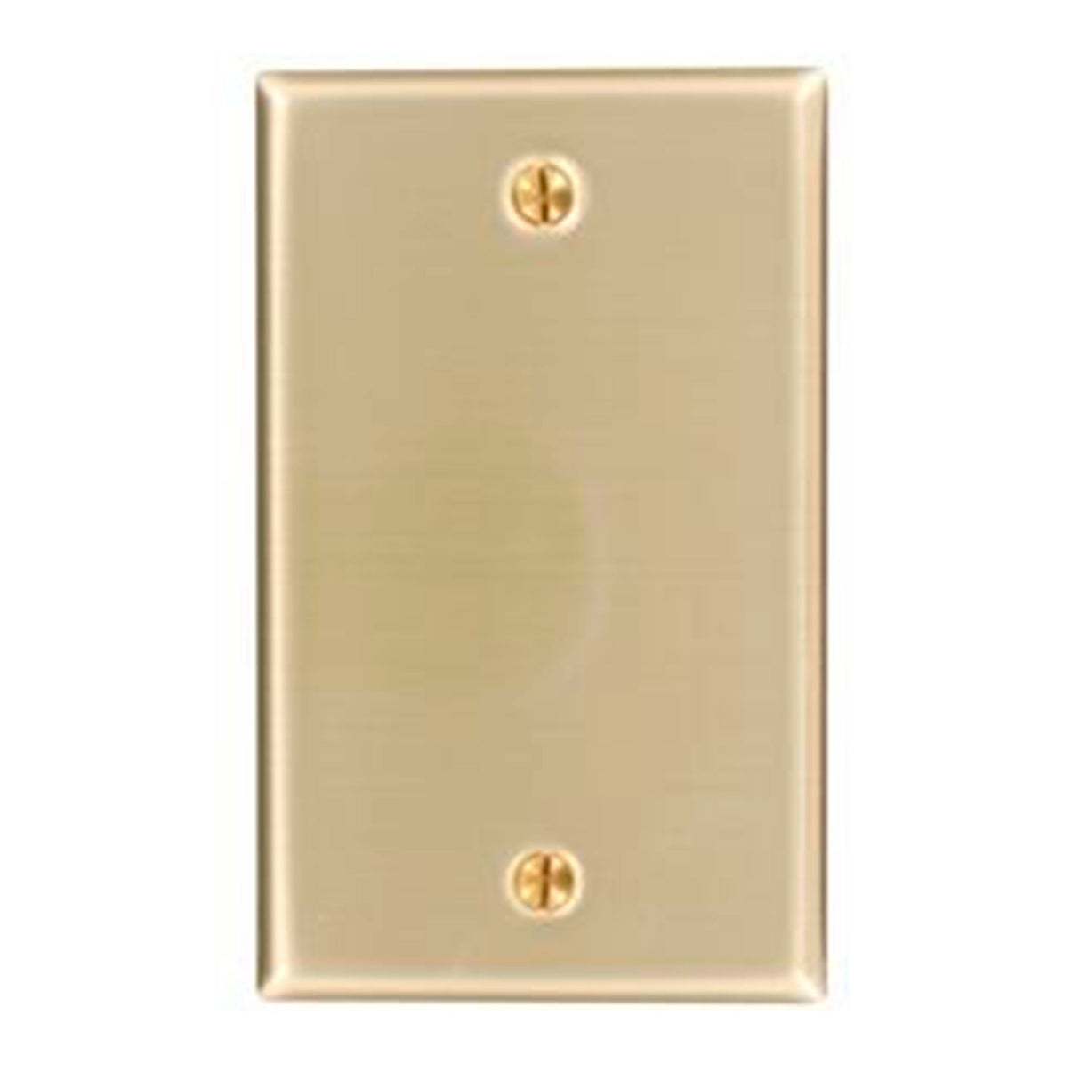 PLACA CIEGA DE BRONCE LIBRA