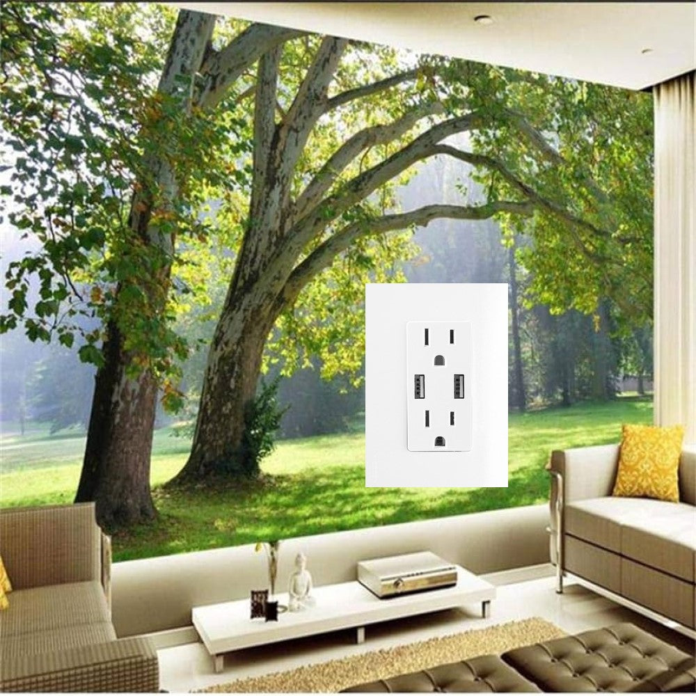 CONTACTO DUPLEX 2P+T 15A USBA 2.4A+ USBC 3A PLACA BL ZENIT