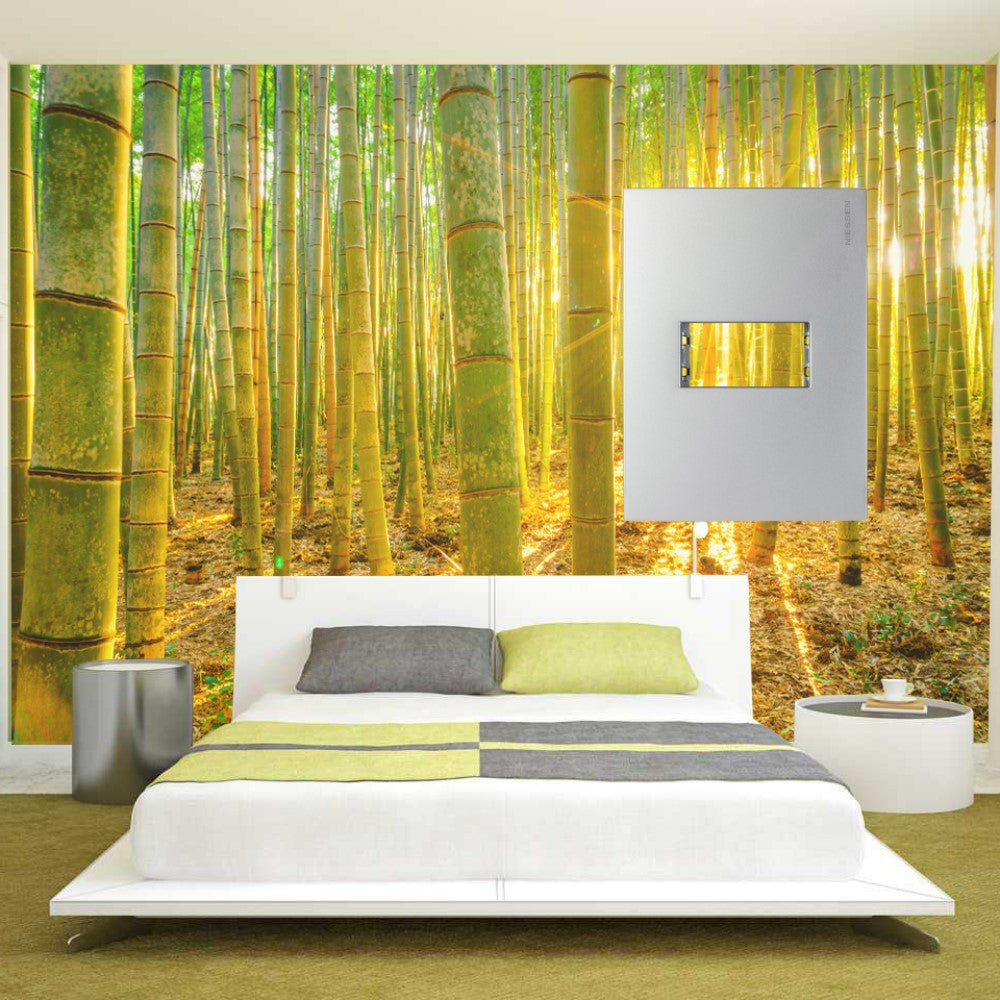 PLACA 1 MOD. BASICA PLATA N2471.1-PL ZENIT NIESSEN