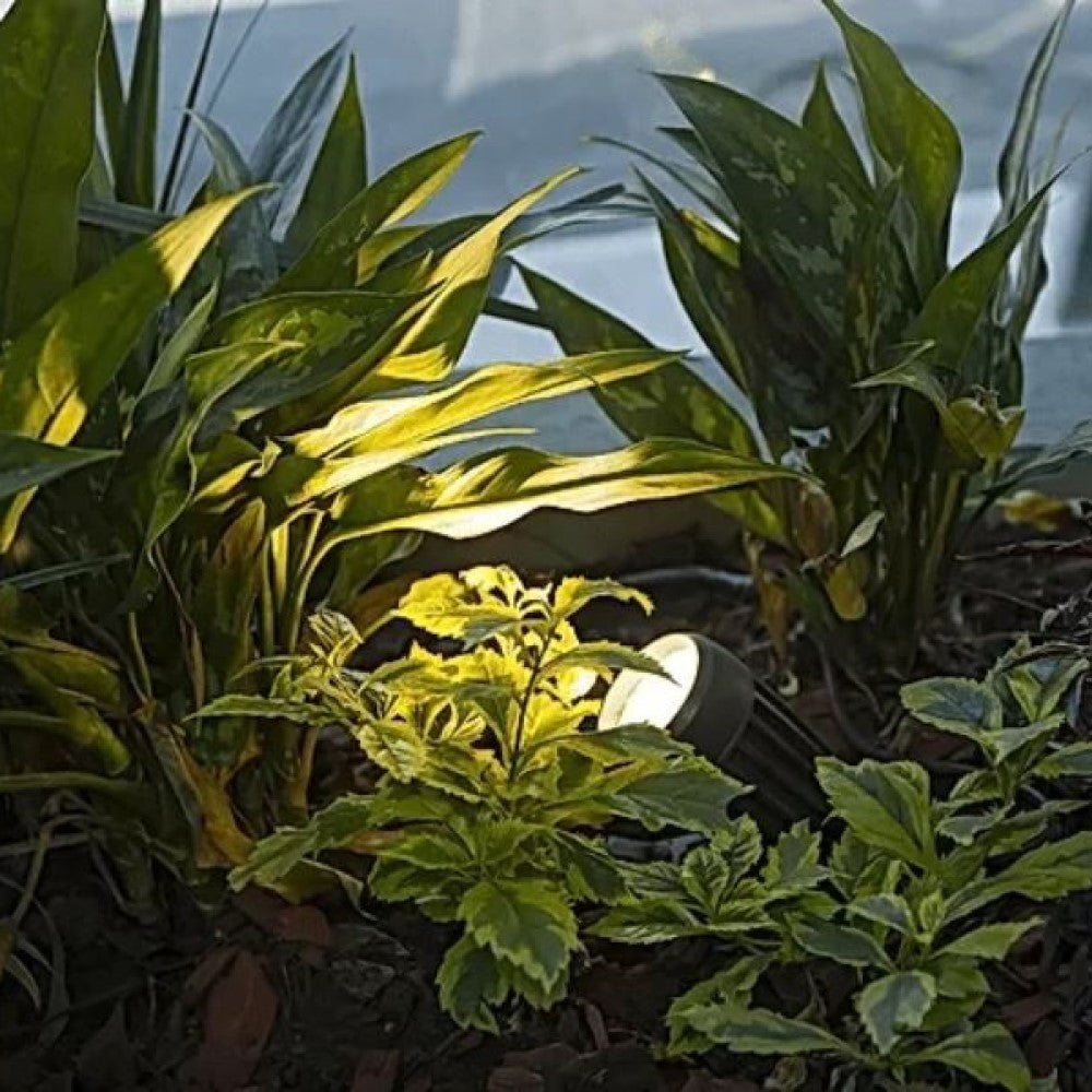 BASE PEDESTAL P/PROYECTOR KR 10 70MM REPUESTO P/ LUM. L7445-6EF