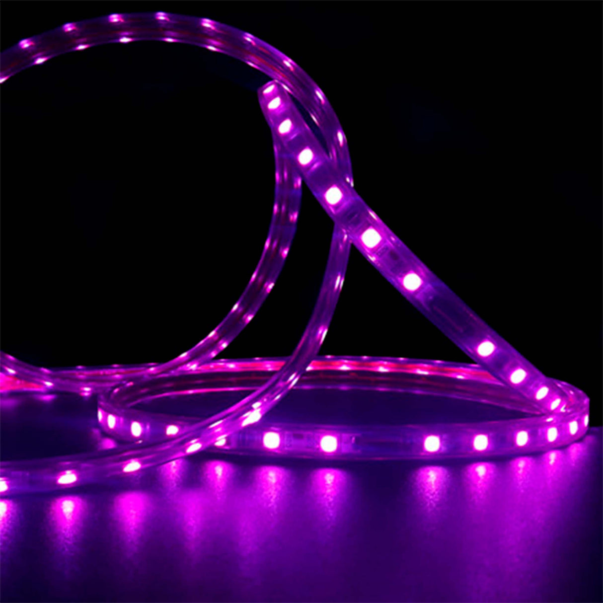 TIRA INTERIOR CHIP 5050 LUZ UV CON NM DE 3500 MORADA SIN SILICON