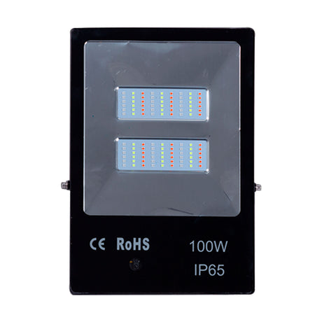 FLOOD ULTRA PLANO 100W SMD 57-30 CW *** HAE ***