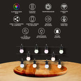 GUIRNALDA SERIE 10 LUCES LED SMART WIFI 7MTS. RGB + BLANCO COMPATIBLE APPMOVIL Y ASISTENTE VOZ *** HASTA AGOTAR ***