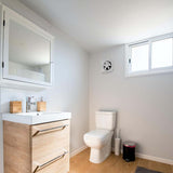 EXTRACTOR DE AIRE ESTEVEZ INDUSTRIAL 10" *** OFRECER GEMINIS 10 O TRITON 10 O 46591 ***