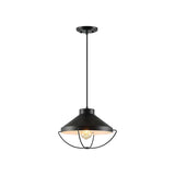 LUMINARIA COLGANTE COLOR NEGRO 1 X 60 W NOLAN
