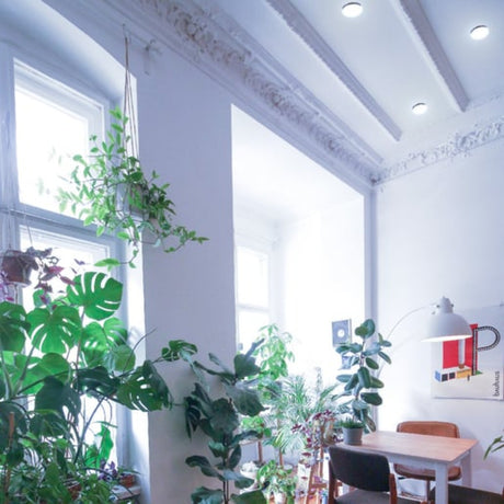 EXT PLAFONES LED 24W127V6500K NEGRO NENQUE II