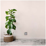 LUMINARIA LED DE CORTESIA CALUX 1.6W 100-240V 3000K 70LM IP65 ACABADO ACERO INOXIDABLE 3620-LED