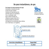 CALENTADOR DE PASO INSTANTANEO 6 /1 SERVICIO GAS NATURAL MCA FOSET