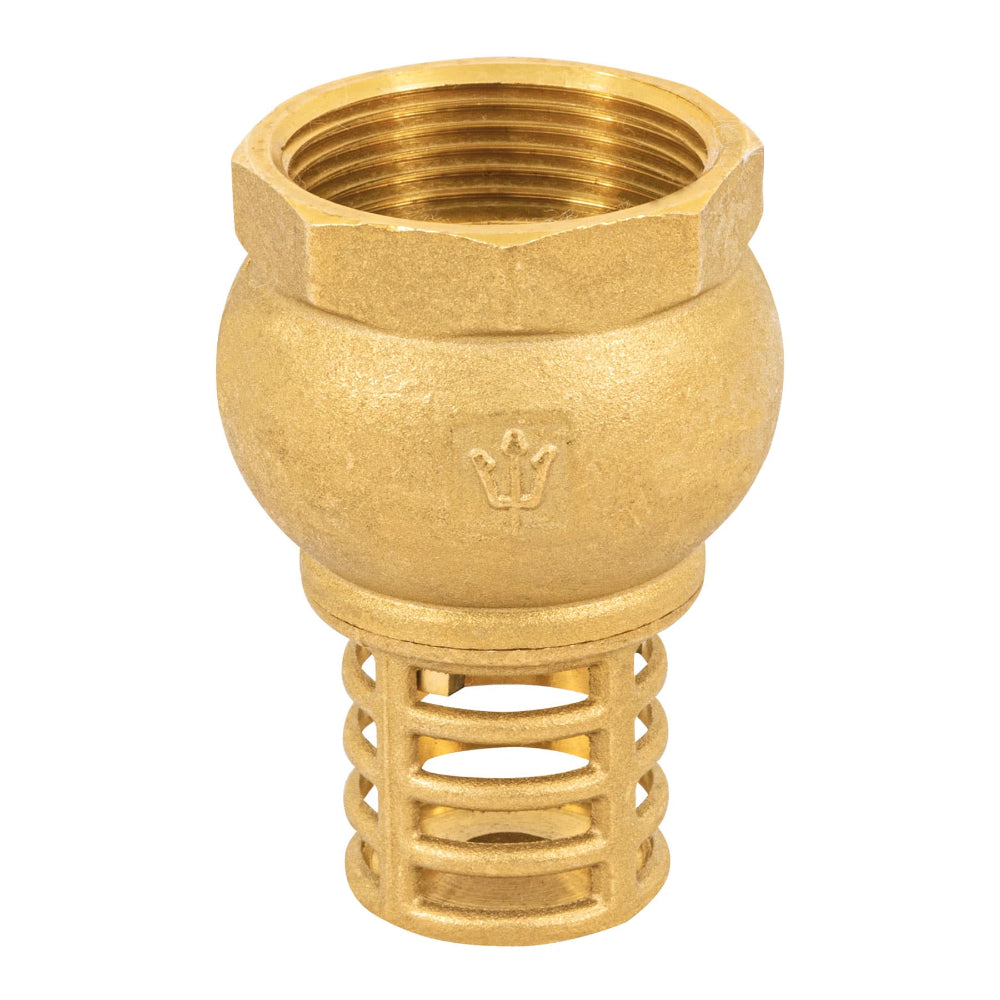 PICHANCHA C/REJILLA LATON 1-1/4" FOSET