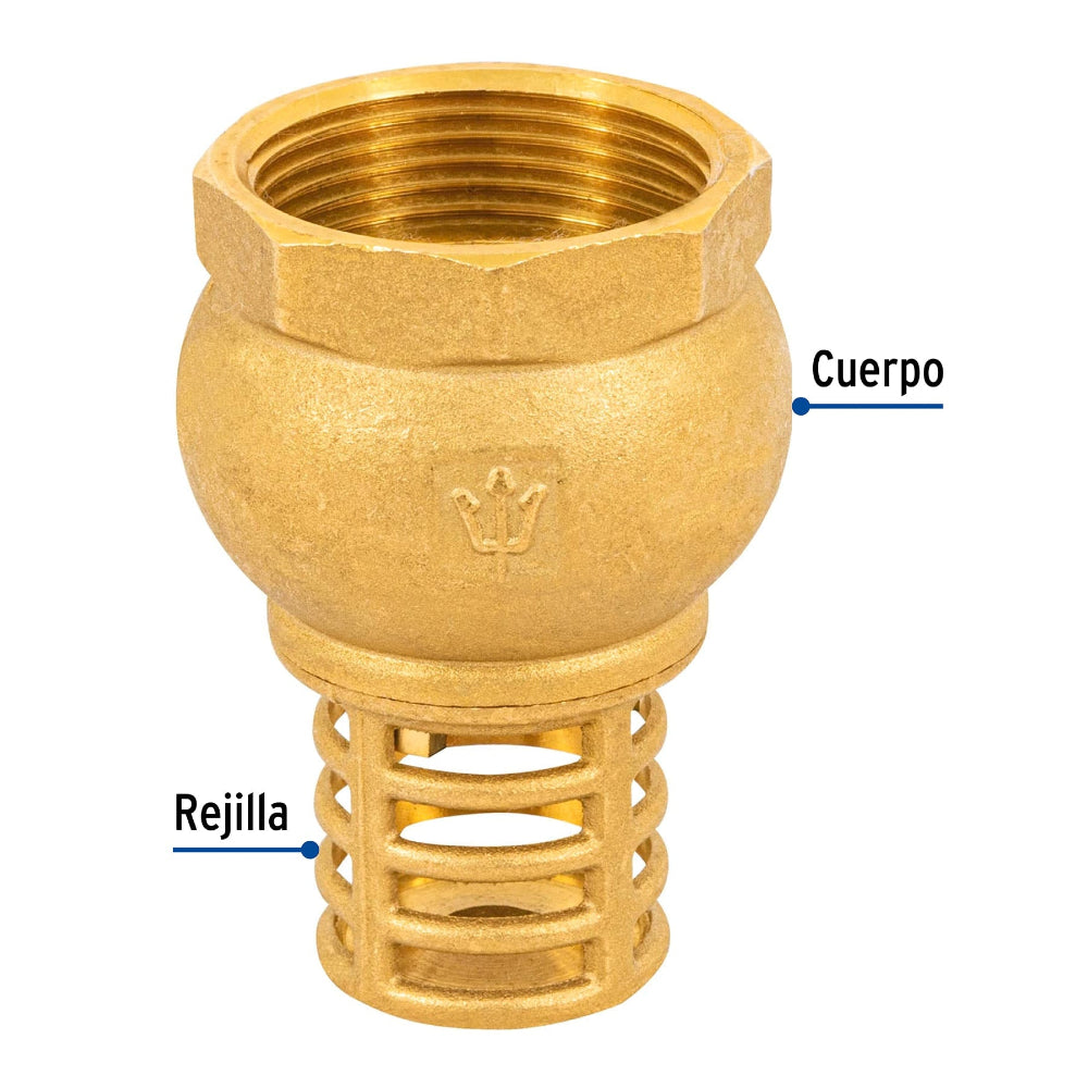 PICHANCHA C/REJILLA LATON 1-1/4" FOSET