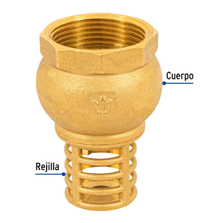PICHANCHA C/REJILLA LATON 1-1/4" FOSET