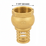 PICHANCHA C/REJILLA LATON 1-1/4" FOSET