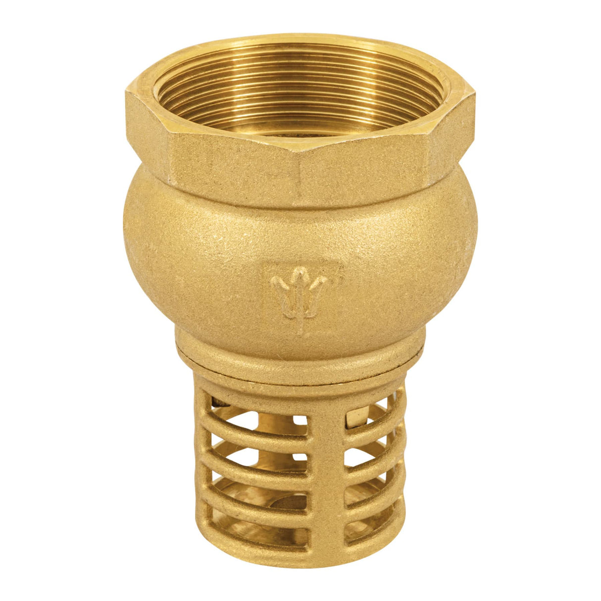 PICHANCHA CON REJILLA DE LATON 2" PICHA-2 MCA FOSET