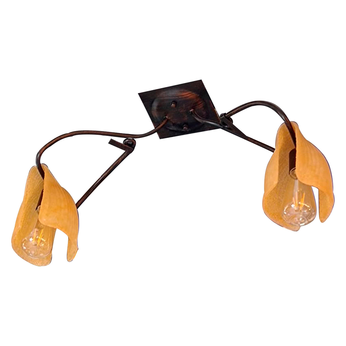 PLAFON DE 2 LUCES TOALLERO