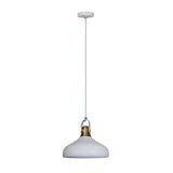 LAMPARA COLGANTE METAL 1.50M POTENCIA MAX. 60W 1BASE E27 S/FOCO