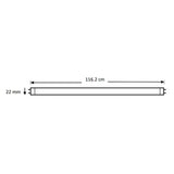 TUBO LED SUPERSTAR T5 26W/865 G5 100-277 MCA LEDVANCED