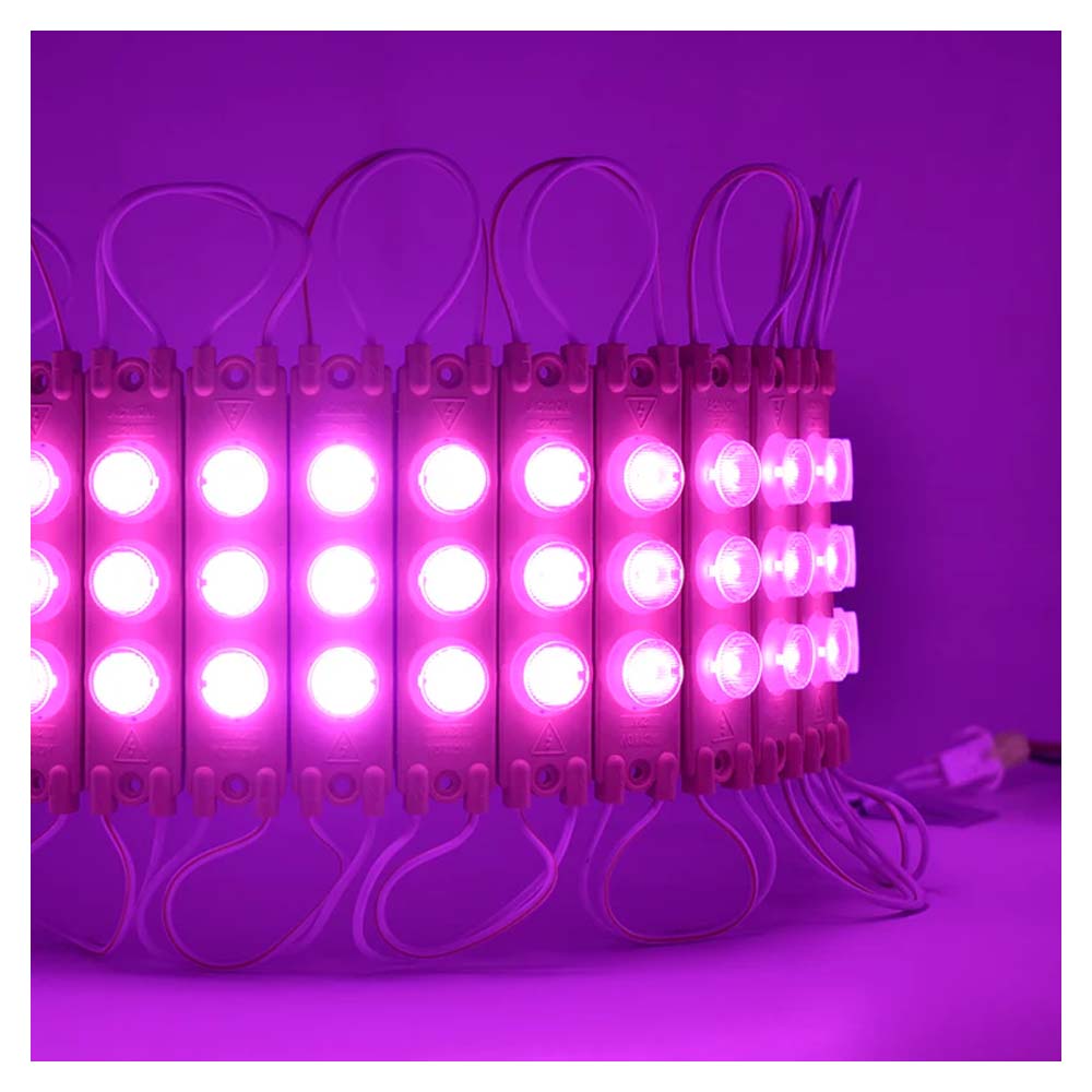 MODULO DE LED 110V ROSA CON 3 LEDS DE FORMA HORIZONTAL CON LUPA