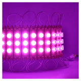 MODULO DE LED 110V ROSA CON 3 LEDS DE FORMA HORIZONTAL CON LUPA