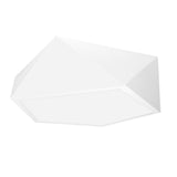 LUMINARIO PENTAGONAL PARA SOBREPONER EFECTO SIMETRICO CUERPO ALUMINIO BLANCO CALIDO 100-224 V CA 18 W ***HAE 2023***