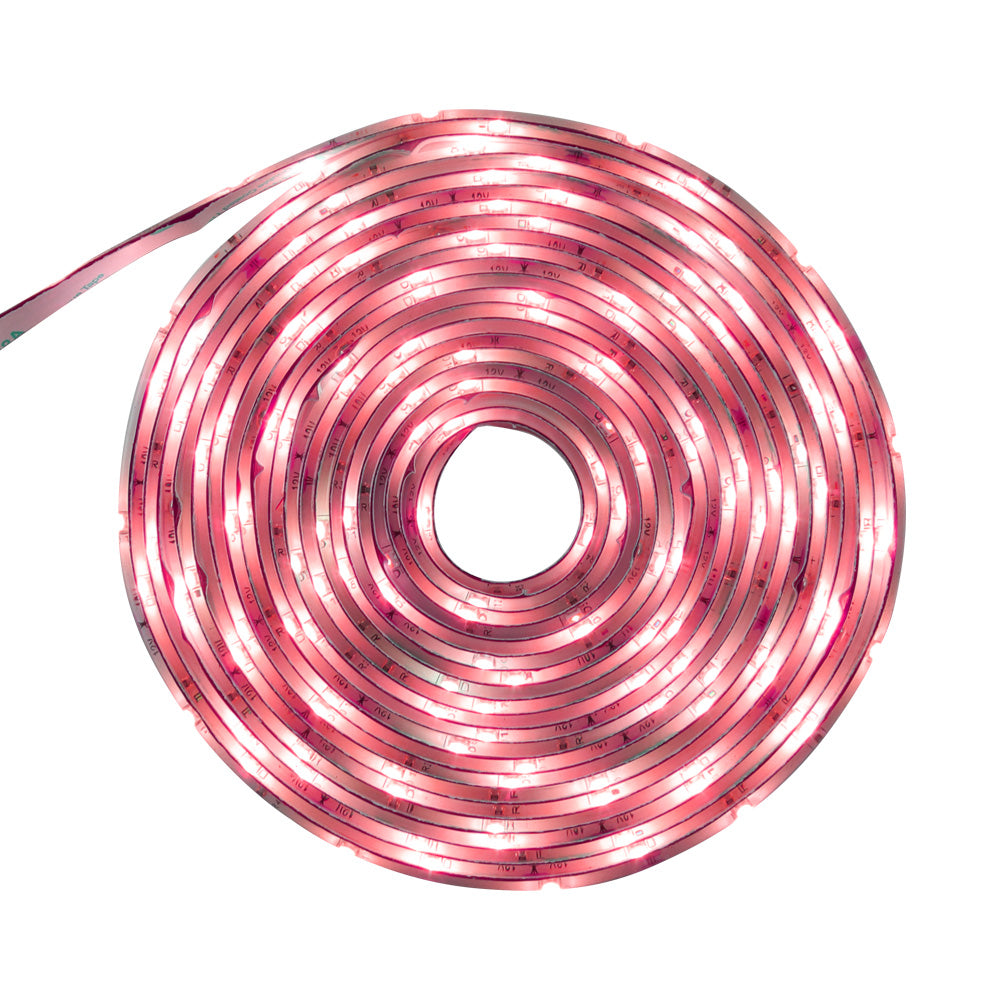 KIT DE 4 PIEZAS DE TIRA LED INT/EXT 12W 100V-240V IRC80 LUZ ROJA IP20 CONTROLADOR Y ELIMINADOR IP44 140 25000HR BLANCO/TRANSPARENTE