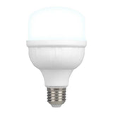 KIT DE 19 PIEZAS DE FOCO LED 20W/100-240V. ALTA POTENCIA BLANCO 6500K L.D. *** OFRECER 86322 ***